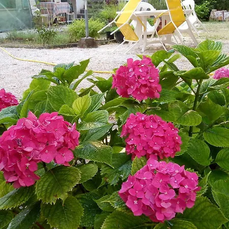 Un Giardino Vicino Al Mare * Bellaria – Igea Marina